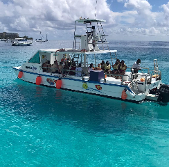 The Boatyard Barbados