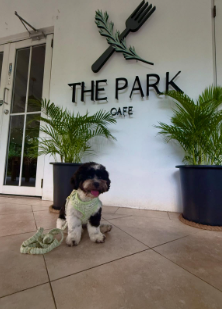 The Park Cafe in Worthing